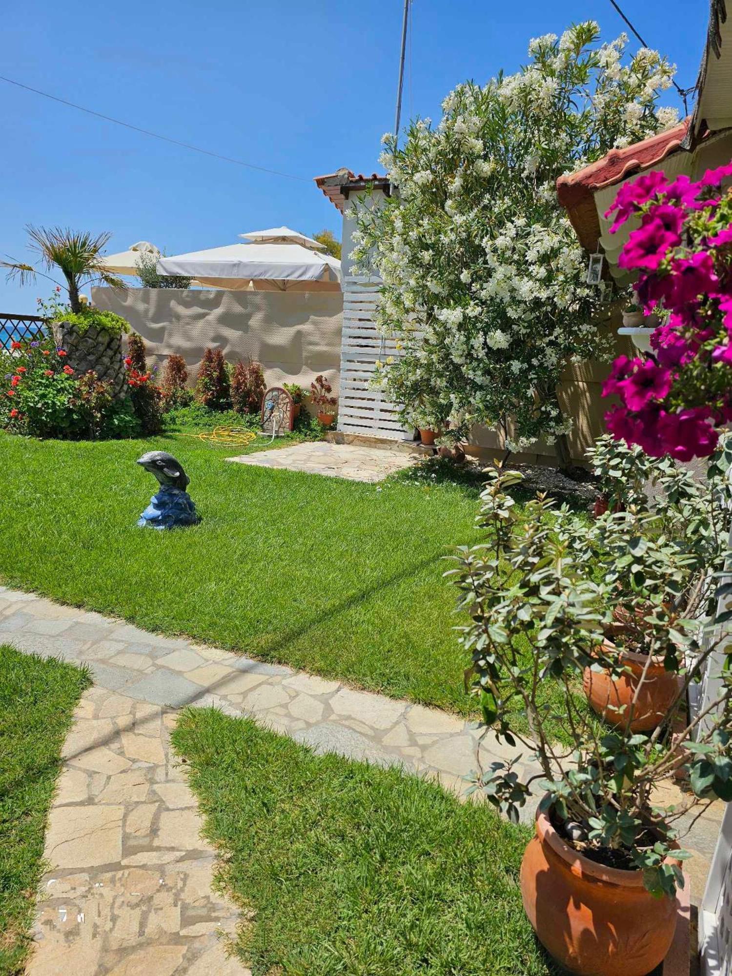 Sea breeze Appartement Limenaria  Buitenkant foto
